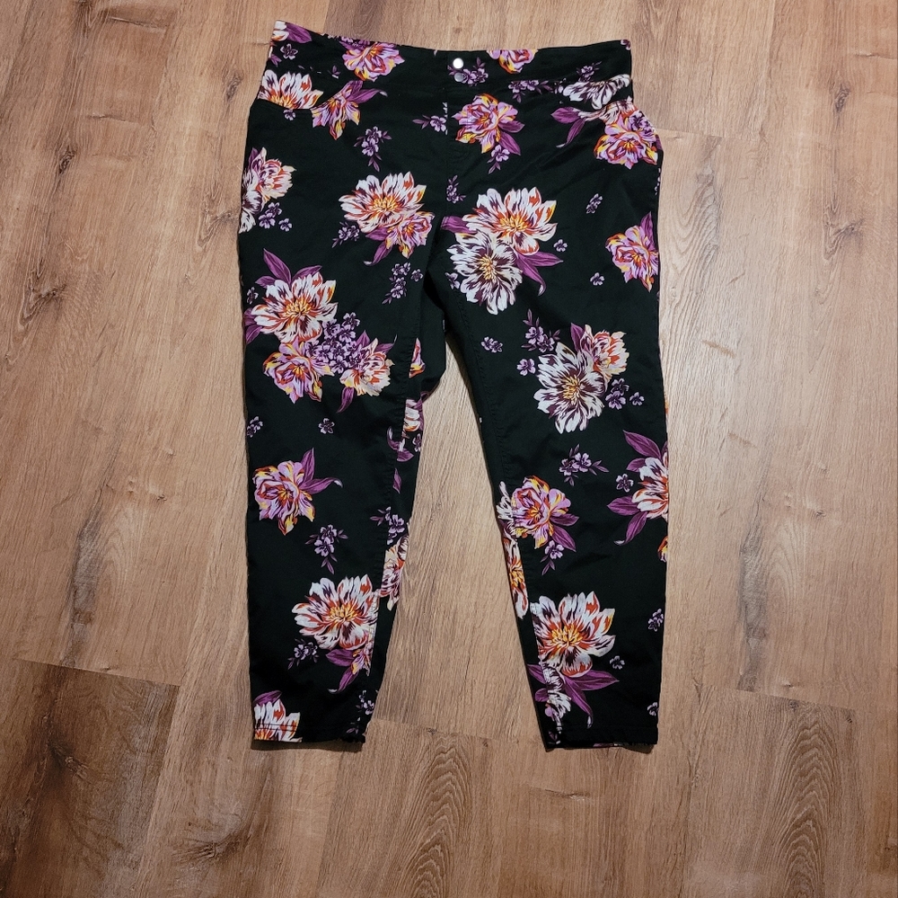 Terra & Sky floral pants 2x